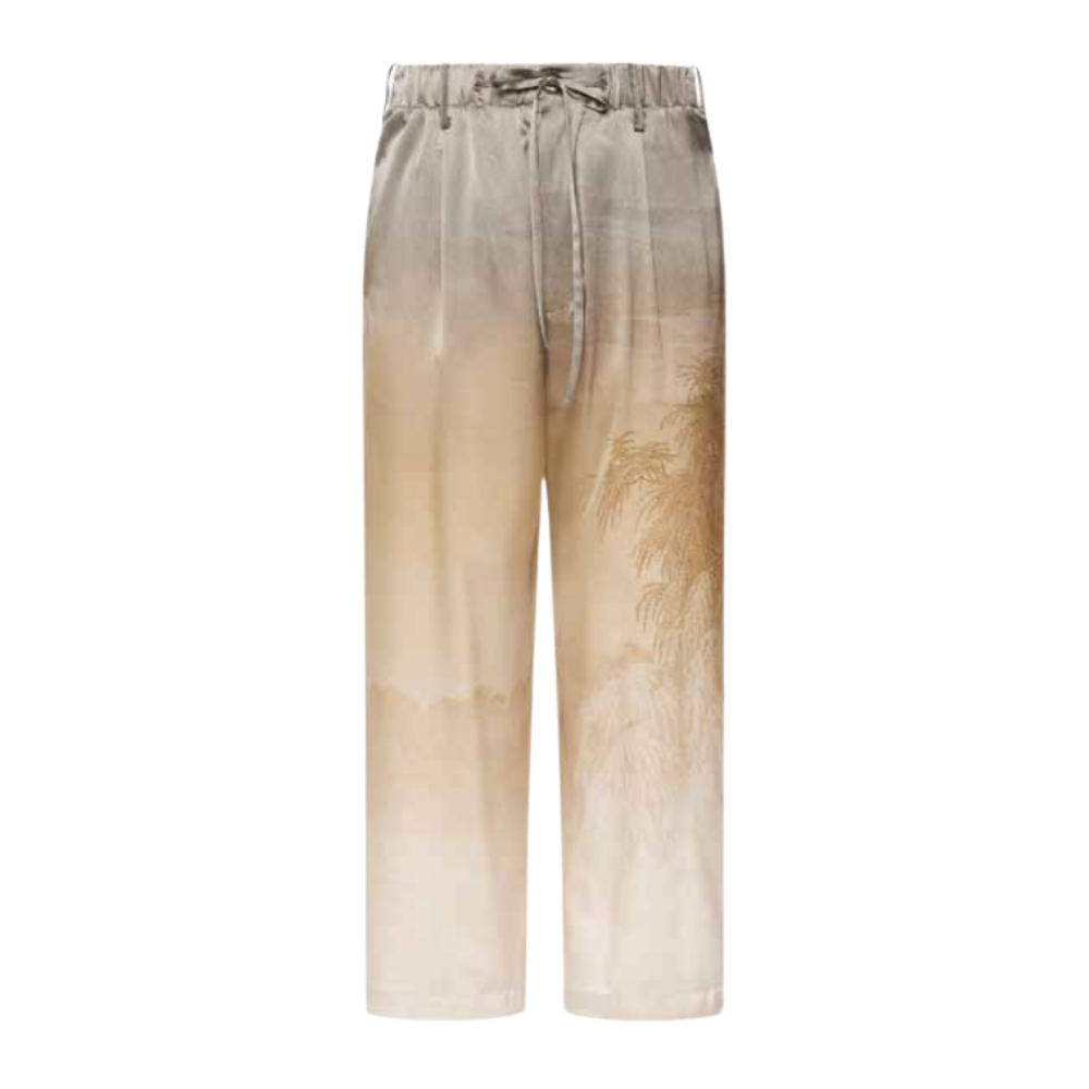 ADASTRGUM Trousers Silk in Multicolour