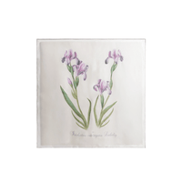 Alberta Ferretti Silk Iris Print Scarf in Ivory – International designer fashion boutique Australia Riada Concept Woollahra