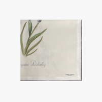 Alberta Ferretti Silk Iris Print Scarf in Ivory – International designer fashion boutique Australia Riada Concept Woollahra