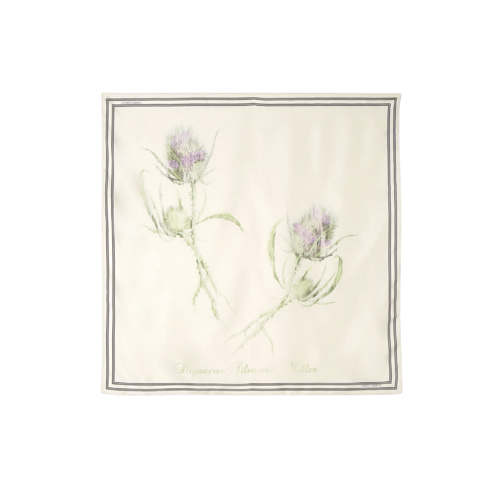 Alberta Ferretti Silk Thistle Print Scarf in Ivory – International designer fashion boutique Australia Riada Concept Woollahra