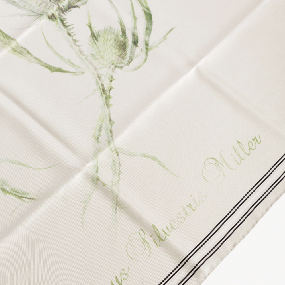 Alberta Ferretti Silk Thistle Print Scarf in Ivory – International designer fashion boutique Australia Riada Concept Woollahra