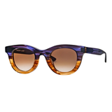 Consistency Sunglasses in Navy Blue & Brown